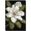 Picture of ELEGANT MAGNOLIA I 38X60