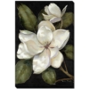 Picture of ELEGANT MAGNOLIA II 38X60