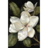 Picture of ELEGANT MAGNOLIA II 38X60