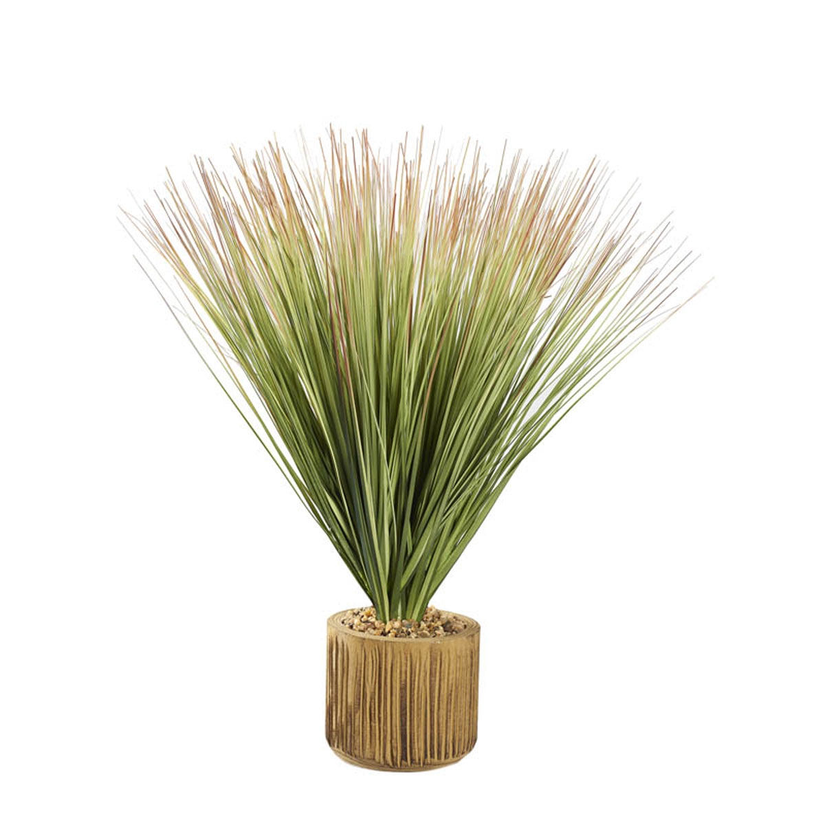 Picture of GRN/BROWN ONION GRASS/WD PLNTR