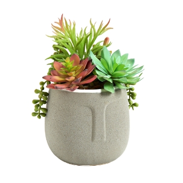 Picture of SUCCULENT IN AZTEC POT