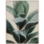 Picture of PLANT STUDY II
