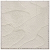 Picture of WASHED SAND II SHDW BOX ART