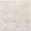 Picture of WASHED SAND II SHDW BOX ART