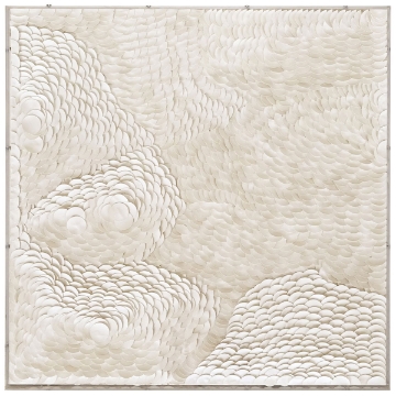 Picture of WASHED SAND II SHDW BOX ART