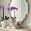 Picture of ALDEN MIRROR