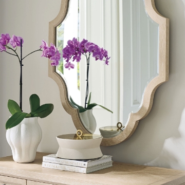 Picture of ALDEN MIRROR