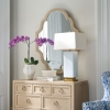 Picture of ALDEN MIRROR