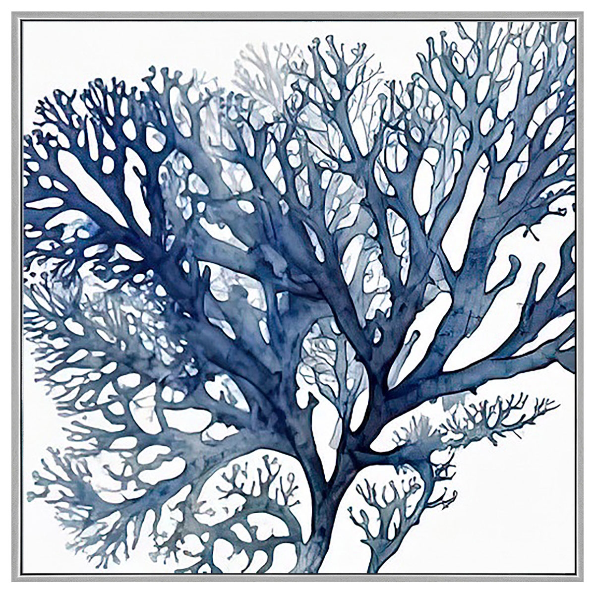 Picture of AZURE SEAFAN II FRAMED ART