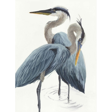 Picture of BLUE HERON MRD NATURE FRMD ART