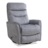 Picture of GEMINI SWGL RECLINER SILVER