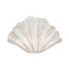Picture of 22" SCALLOP SHELL DECOR