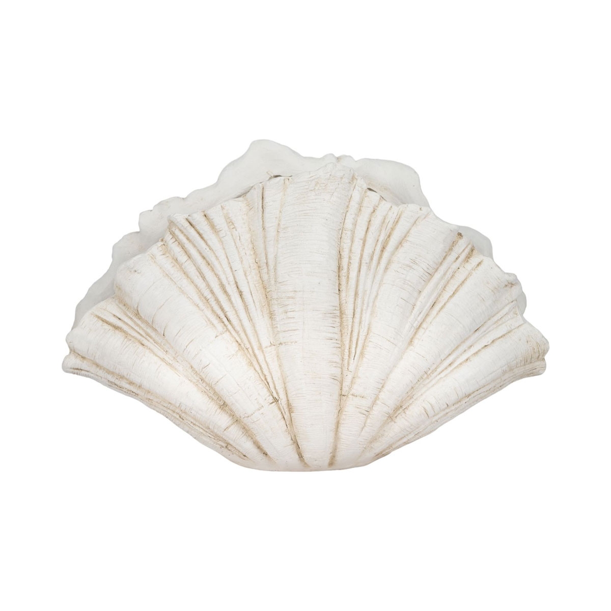 Picture of 22" SCALLOP SHELL DECOR