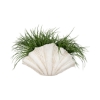 Picture of 22" SCALLOP SHELL DECOR