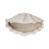Picture of 22" SCALLOP SHELL DECOR