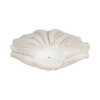 Picture of 22" SCALLOP SHELL DECOR