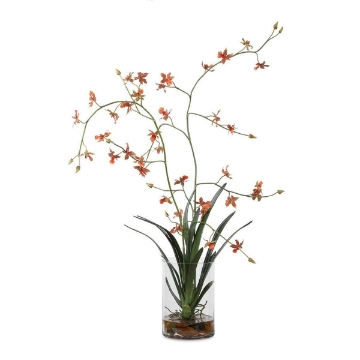 Picture of DANCING ORCHID FLORAL ARGMNT