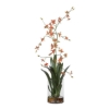 Picture of DANCING ORCHID FLORAL ARGMNT