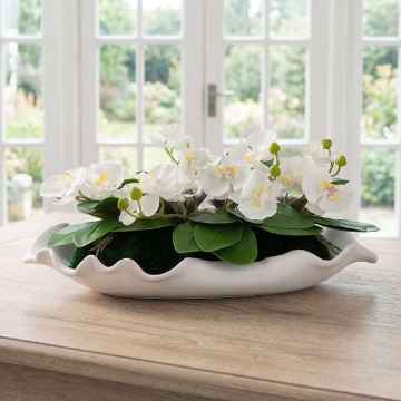 Picture of OPULENCE ORCHID
