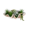 Picture of SEASIDE BREEZE SUCCULENTS