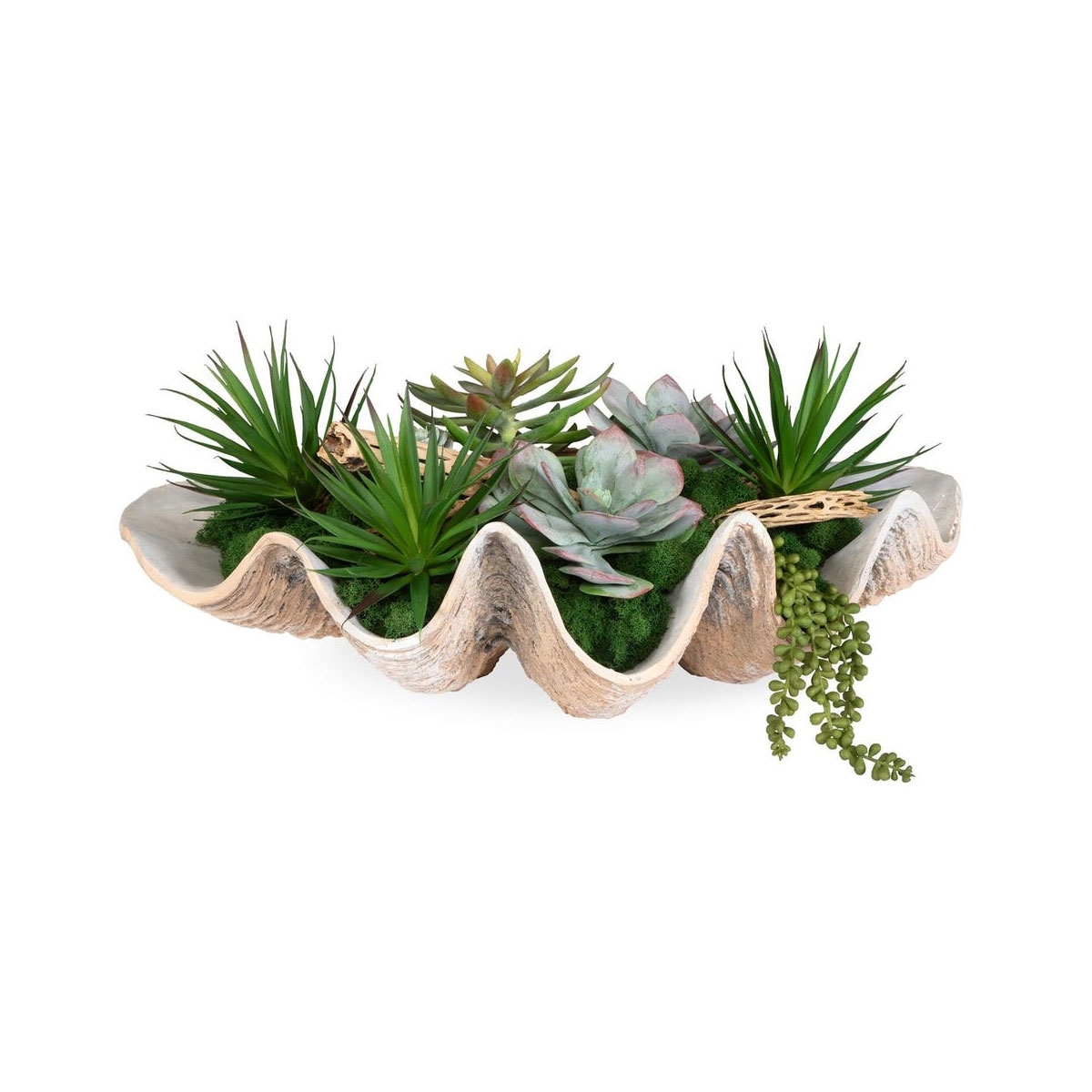 Picture of SEASIDE BREEZE SUCCULENTS