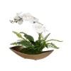 Picture of TRANSCEND ORCHID ARRANGMENT