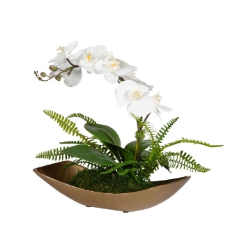 Picture of TRANSCEND ORCHID ARRANGMENT