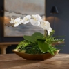 Picture of TRANSCEND ORCHID ARRANGMENT