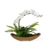 Picture of TRANSCEND ORCHID ARRANGMENT
