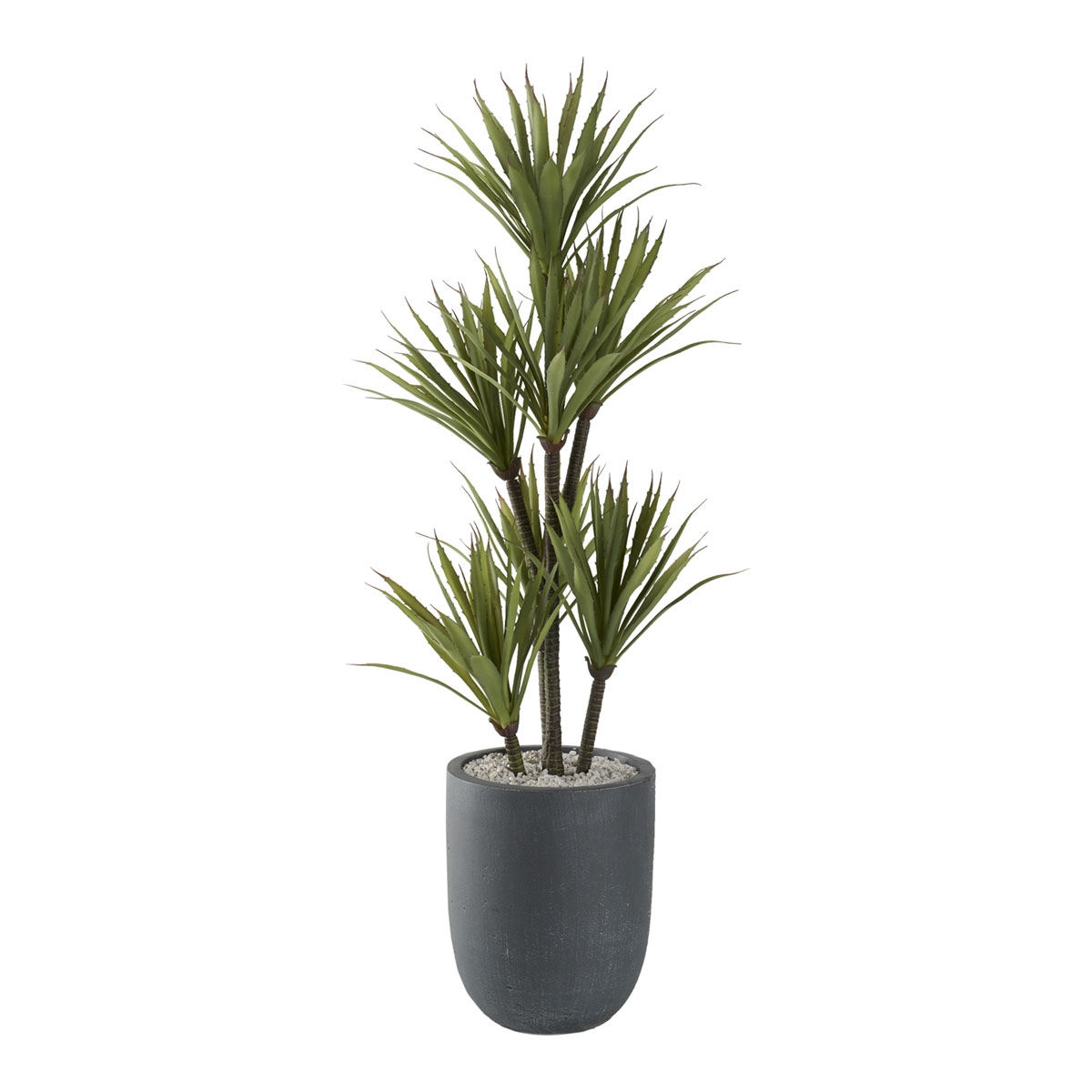 Picture of 48" YUCCA TREE IN GREY PLNTR
