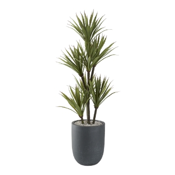 Picture of 48" YUCCA TREE IN GREY PLNTR