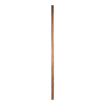 Picture of BROWN COCUNUT SHELL FLOOR MIRR